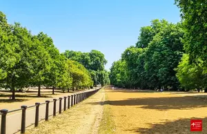 Visiting London in March? Check out our guide, including fun things to do, tours to try and shows to see.