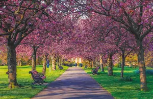 The weather in London in May has a blend of sunny and rainy conditions. Find out what to bring and also some events and tours you could enjoy while on holiday.