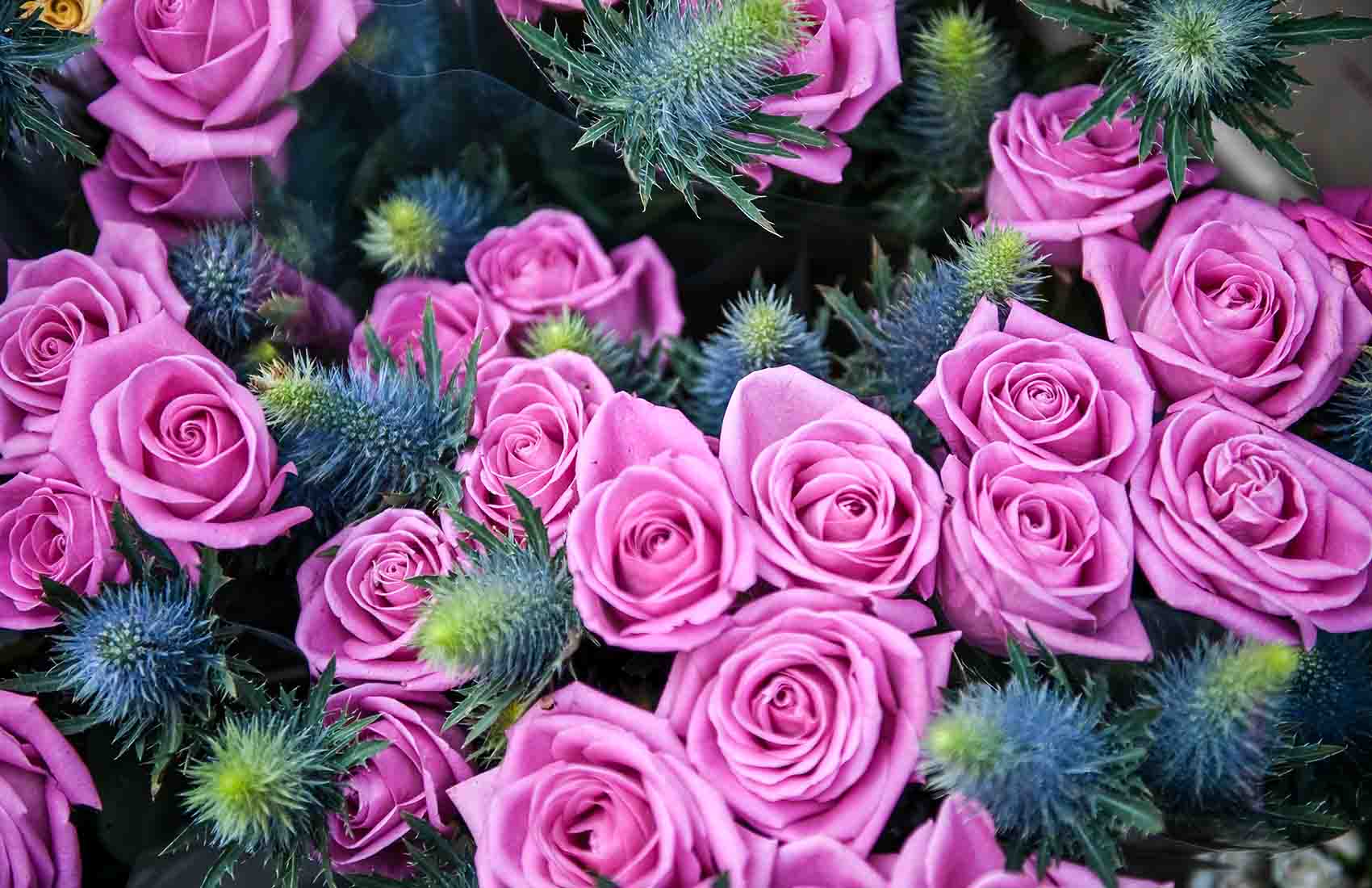 Purple flowers at Columbia Road Flower Market in London. Columbia Road Flower Market.