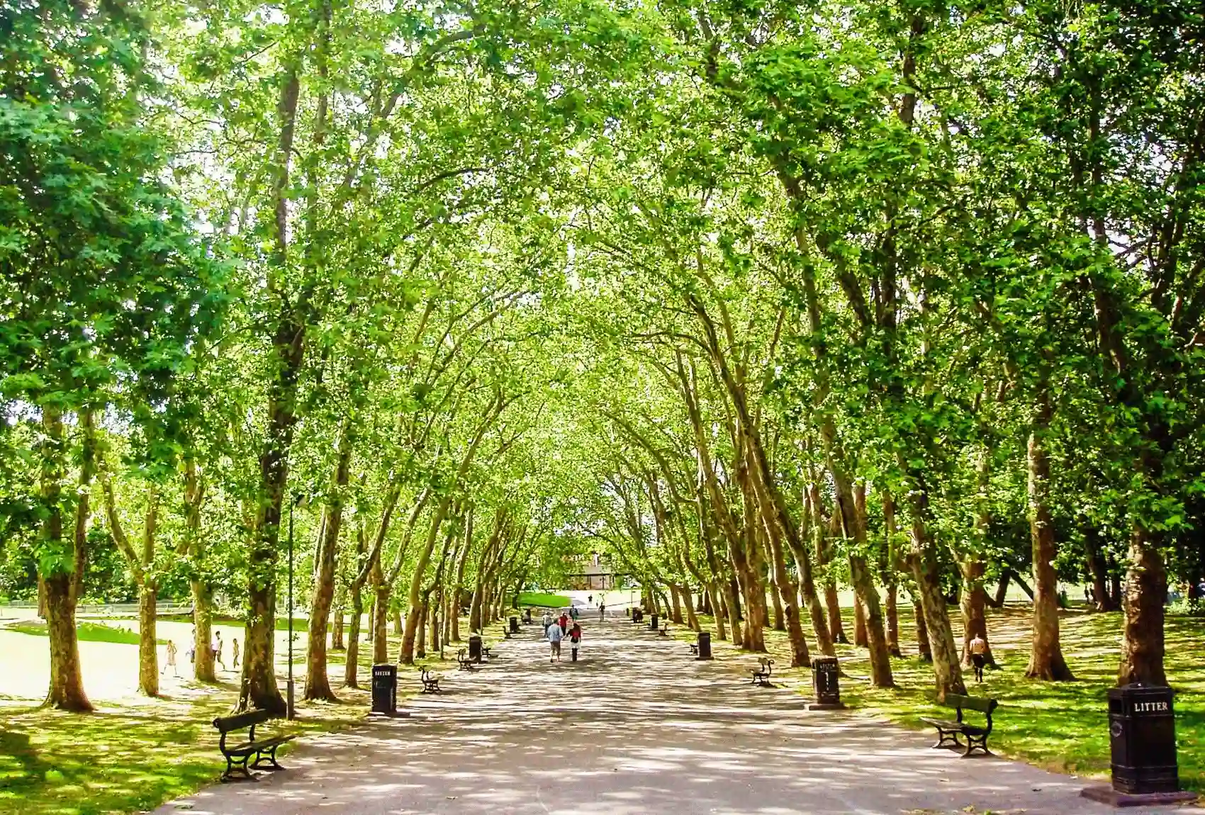 South London's Crystal Palace Park offers a peaceful walk along tree-lined pathways Crystal Palace Park in London, with trees lining the avenue