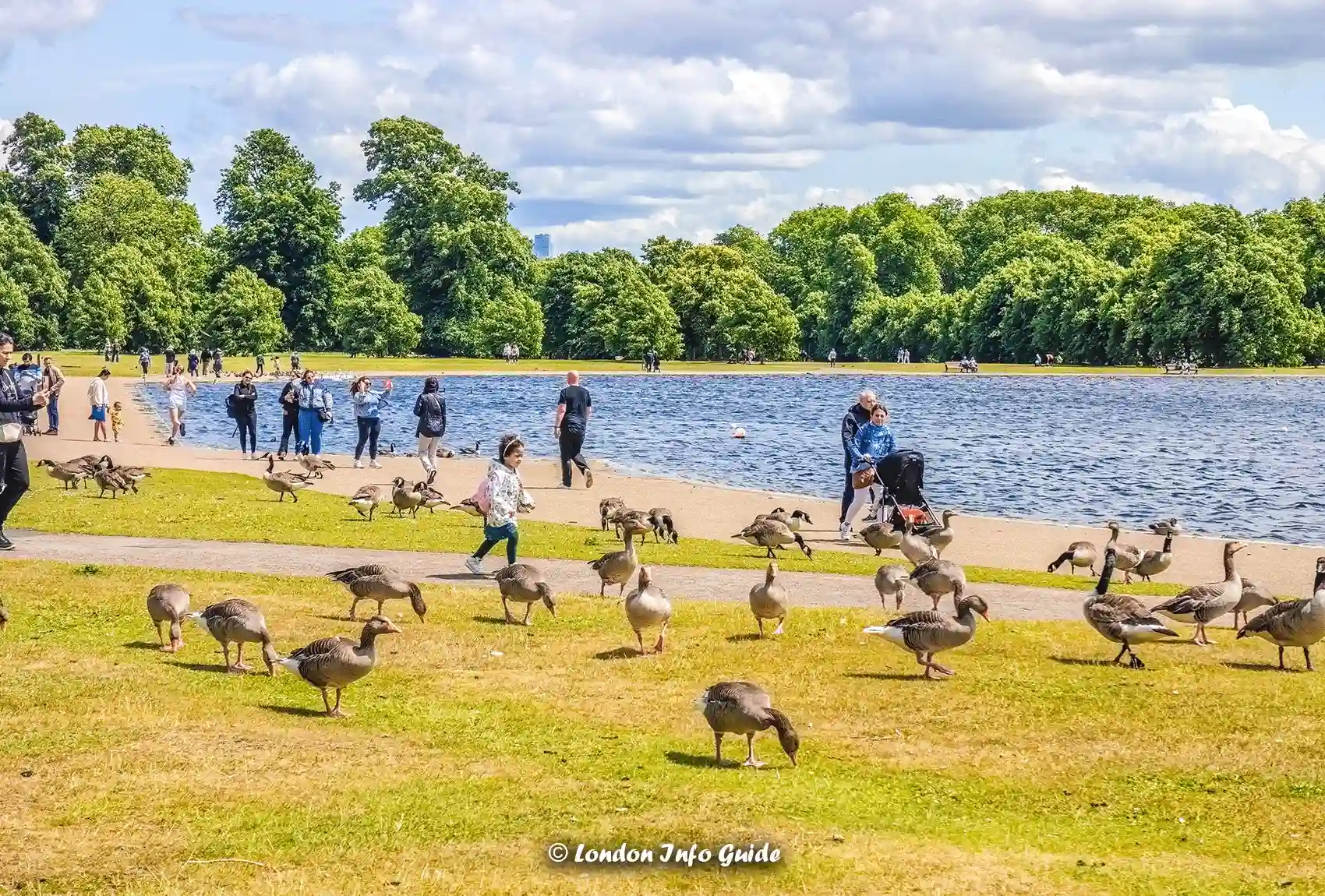 A sunny day at the Round Pond near Kensington Palace is enjoyed by visitors surrounded by nature Kensington Gardens' Round Pond with families and geese