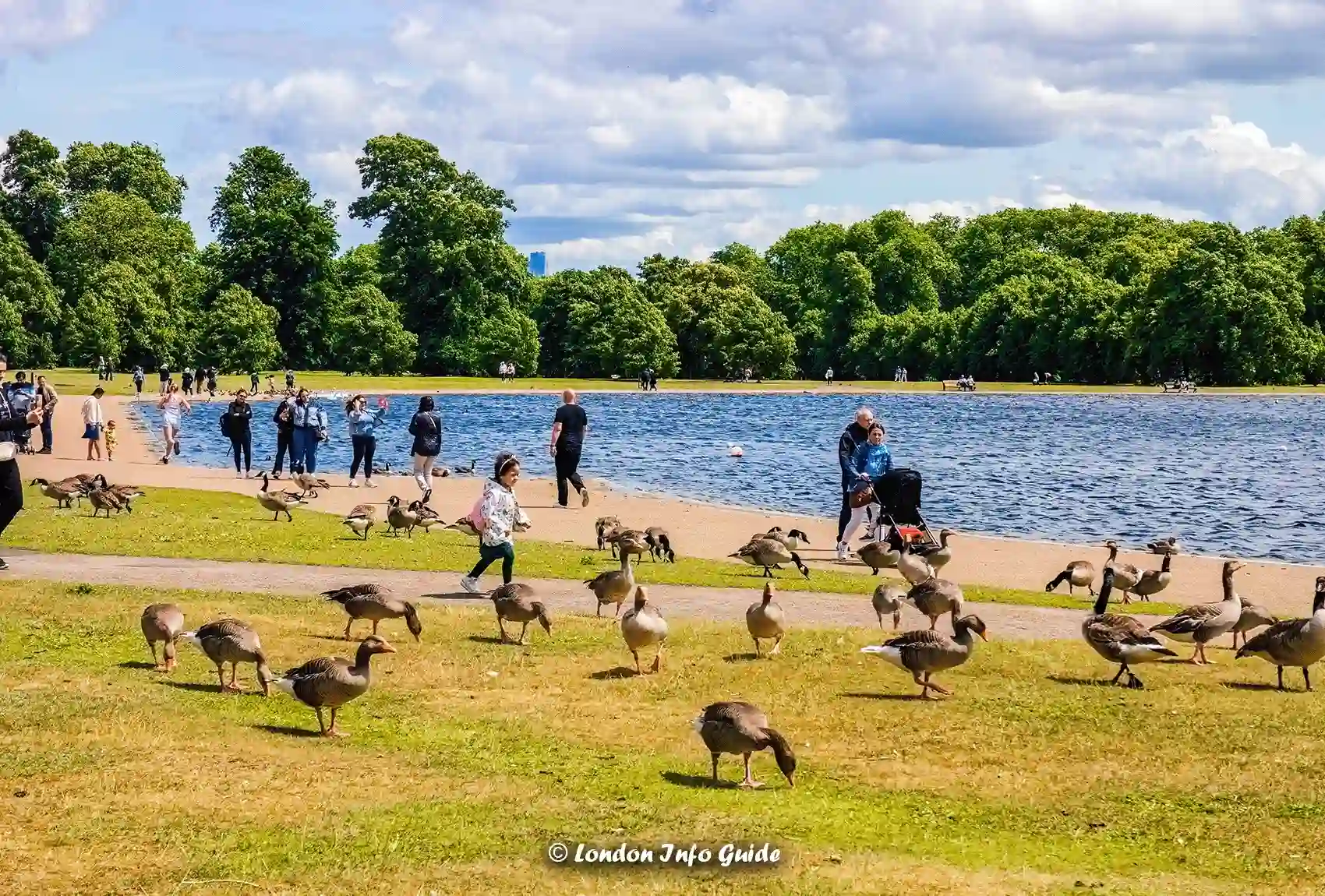 People enjoying the round pond at Kensington Gardens, blending nature with royal history.