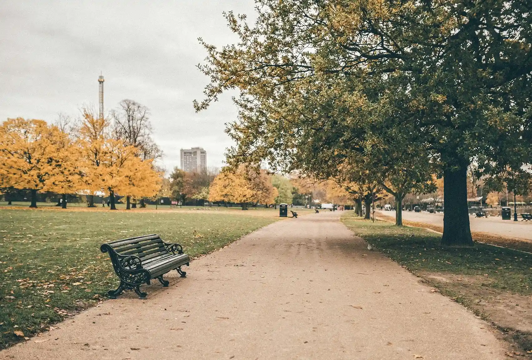Peaceful Hyde Park pathway, autumn.