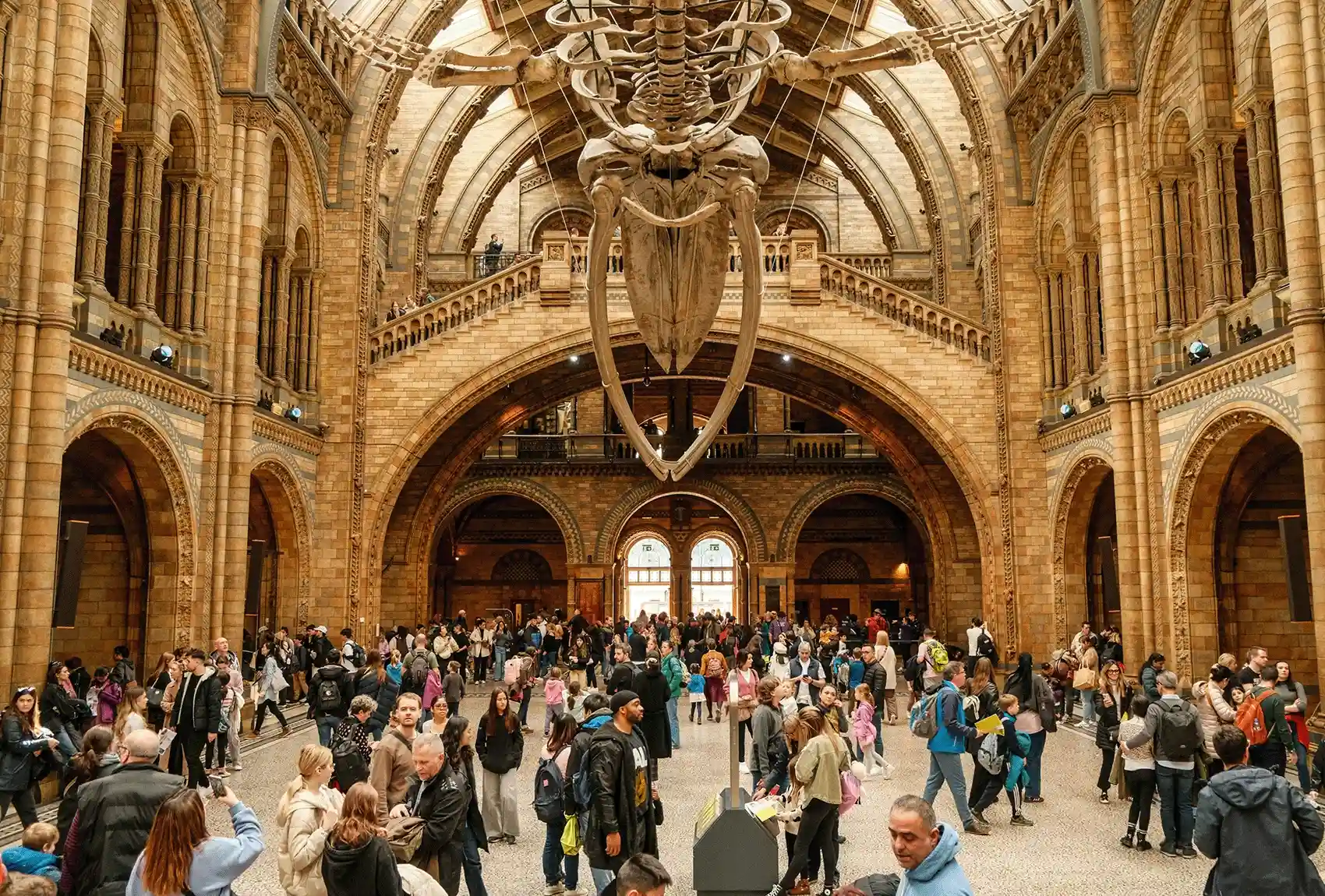 london-the-natural-history-museum.webp london-the-natural-history-museum.webp