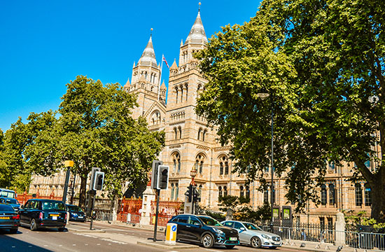 The exterior of the Natural History of Museum in London. Natural History of Museum in London.
