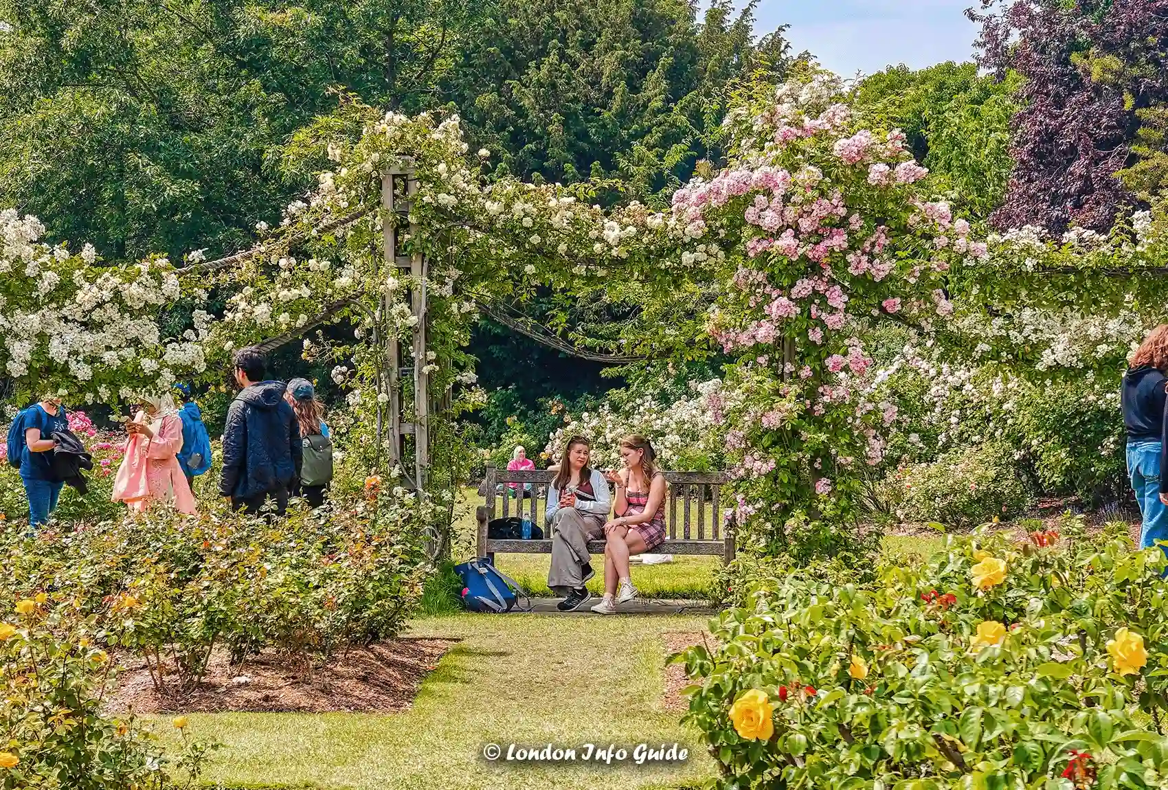 Queen Mary's Gardens at Regent's Park, London surrounded by colourful roses Visitors relaxing in the Rose Garden at Regent's Park