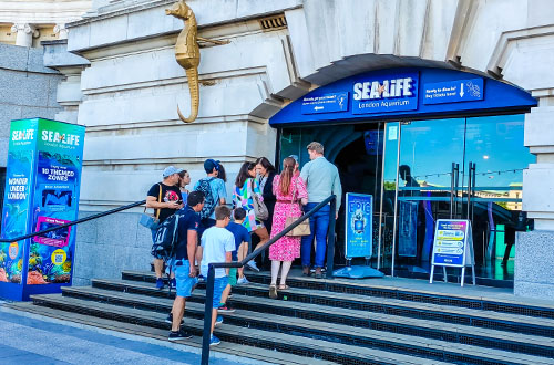 Sea Life London.