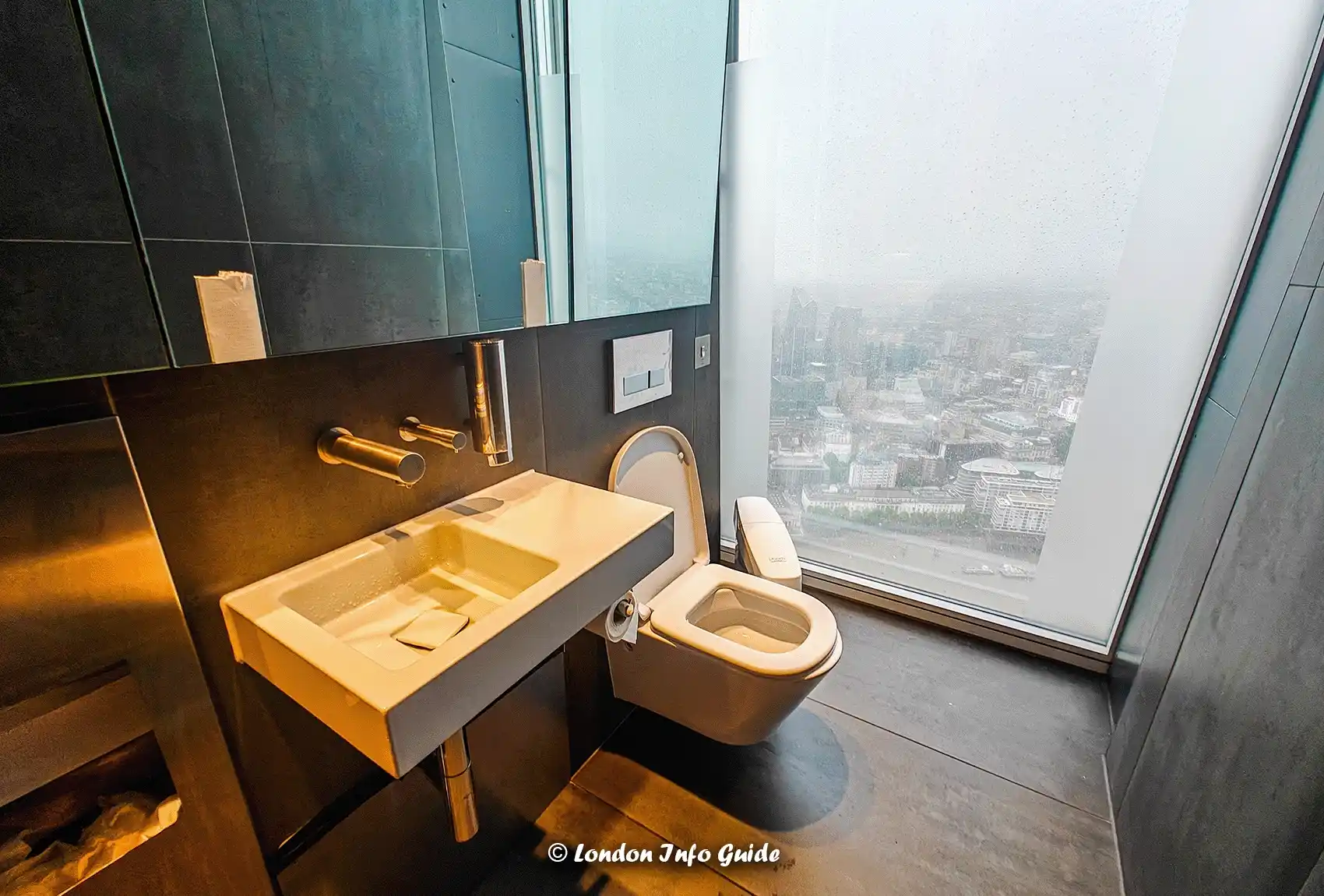 Bathroom view from the view from The Shard.