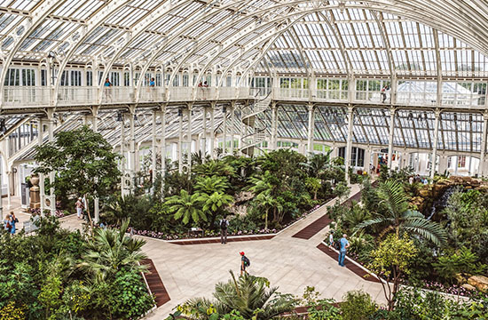 Inside Kew Gardens.