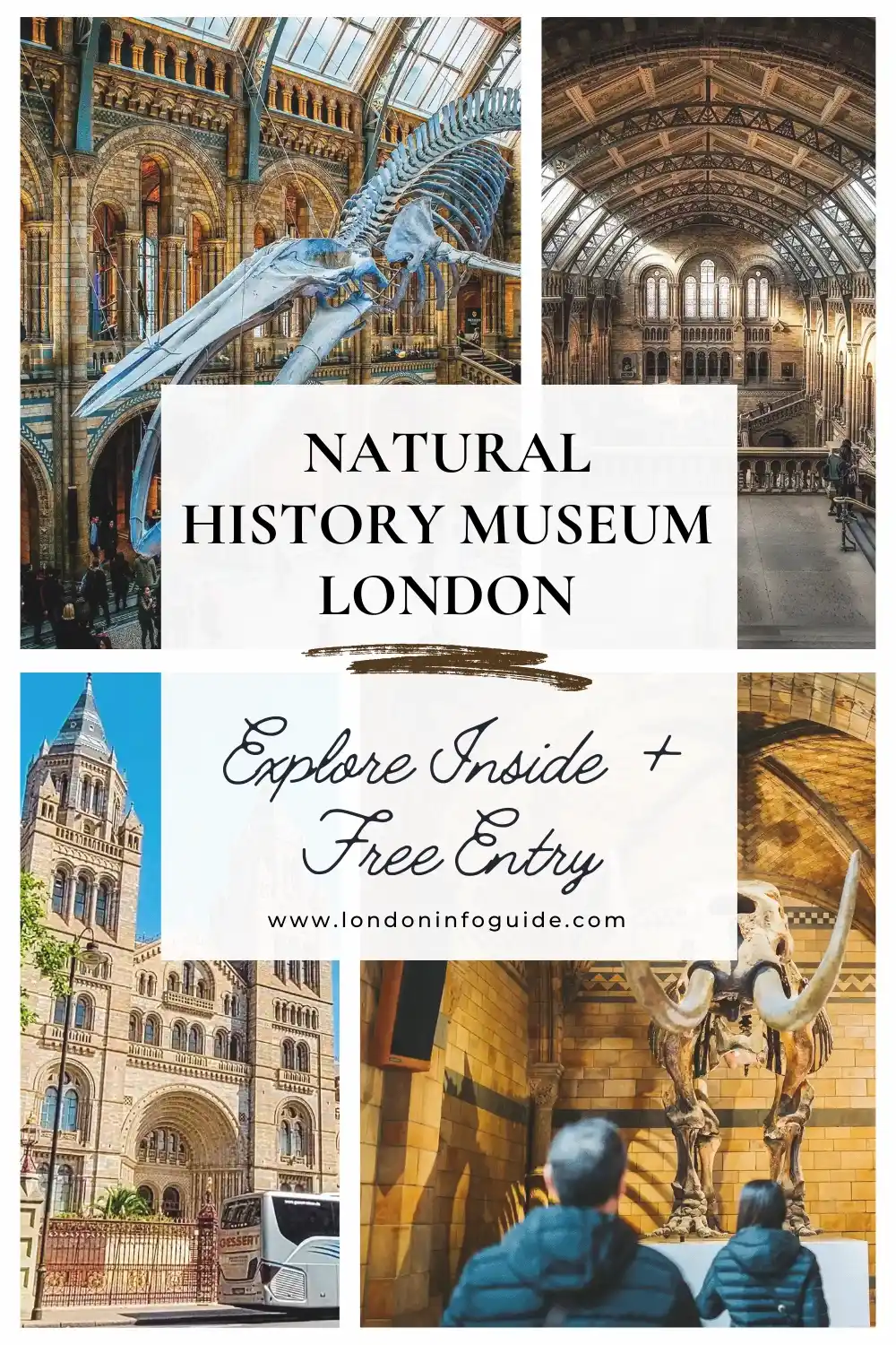 The Natural History Museum London Guide.