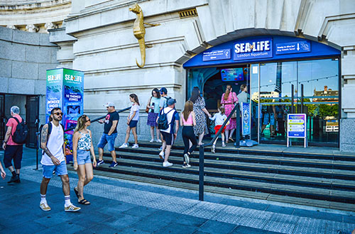 Sea Life Aquarium London.