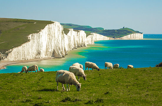 White Cliffs of Dover.